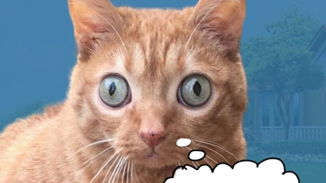 А ты купил комплект?